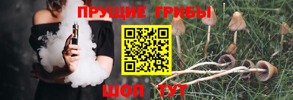 Псилоцибиновые грибы Cubensis  Вход с VPN  Псков  Псилоцибиновые грибы MAGIC MUSHROOMS 