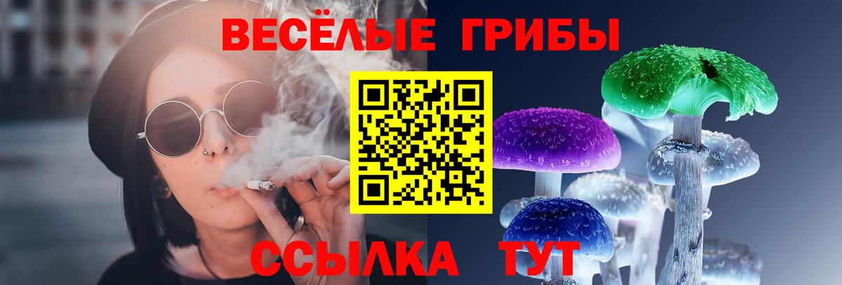 Псилоцибиновые грибы мицелий Псков