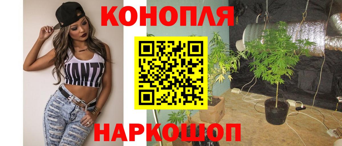 Канабис гибрид Псков